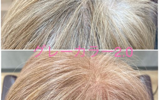 グレーカラー２．０